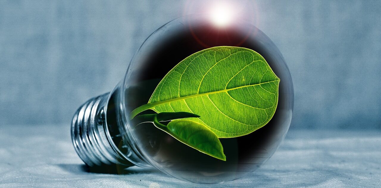 lightbulb, leaf, chlorophyll-2631864.jpg